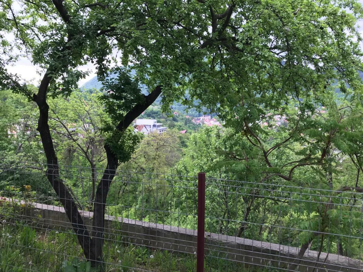 Calea Poienii Penthouse Apartment Brasov Bagian luar foto